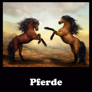 Pferde