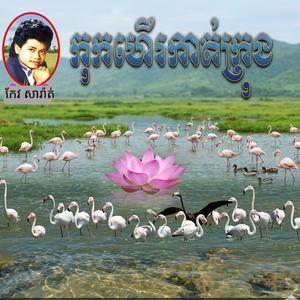 កុកហើរកាត់ក្រុង