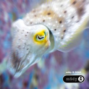 気合ライダーズ(竹内)