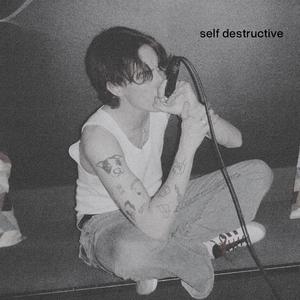 self destructive (feat. NORTON)