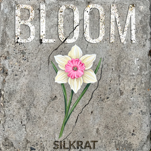 Bloom