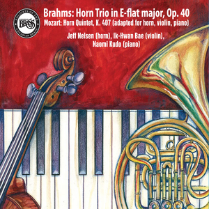 Trio for Horn, Violin and Piano in E-flat Major, Op. 40: I. Andante