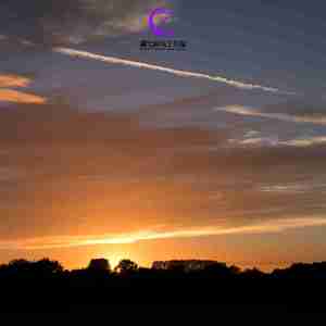 鹤唳华亭 (静心曲)