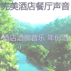 一尘不染鸡尾酒吧印象数