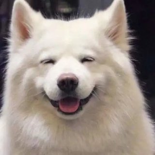 2021考研英语二作文