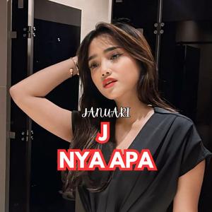 JANUARI J NYA APA