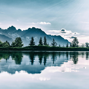 茉莉花 (舒缓放松纯音乐)