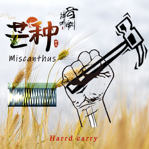 宫阙诗听-芒种（Hard carry Hardstyle edit）（翻自 Z-HEN）