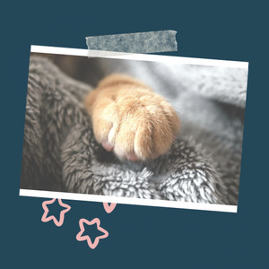 陪我喝醉 (DJ版)