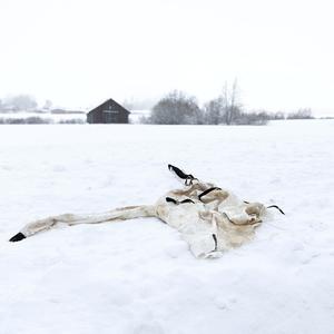 Usein sinä sumuinen // Time and Again, You Misty One