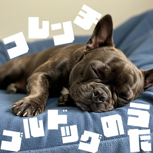 フレンチブルドッグのうた (Live)