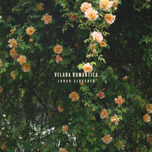 Una Dulce Tarde Contigo