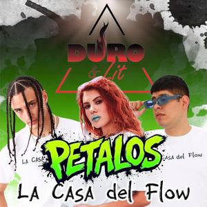 Petalos (feat. Sherry, Gromm & ILAMIKE)