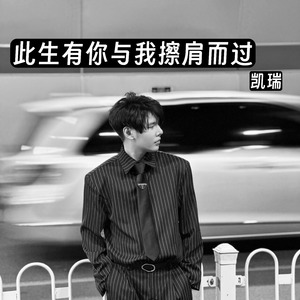 此生有你与我擦肩而过