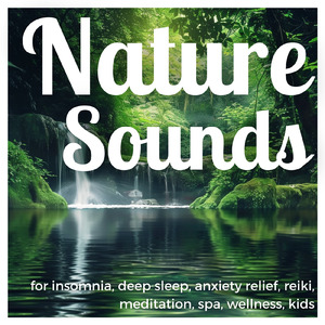 熟睡ギターBGM 睡眠の質を高めるヒーリング音楽 (自律神経を整える睡眠用 森 鳥)