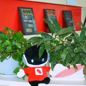 欧文宝贝（《欧文宝贝全明星大会》专属主题曲） 伴奏