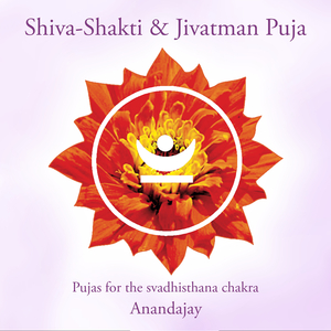 Shiva-Shakti Puja