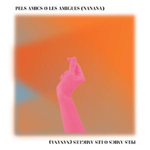 Pels amics o les amigues (nanana)