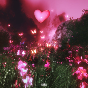 月亮升起又落下