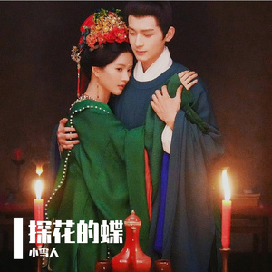 探花的蝶