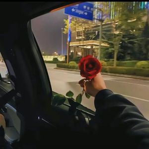 楼兰的酒 伴奏