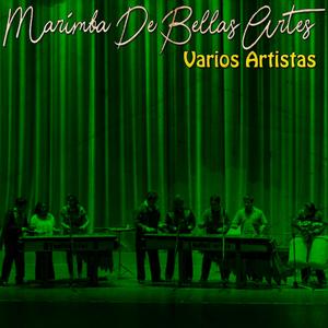 Musica Tradicional de San Marcos