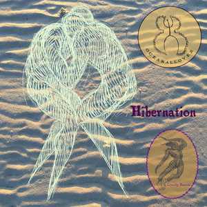 Hibernation