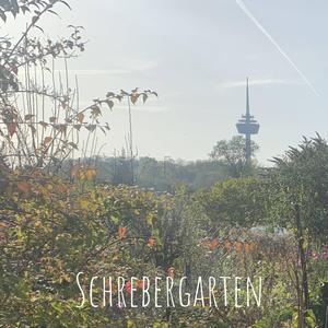 Schrebergarten