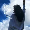 档次高端硬曲 (DJ版)