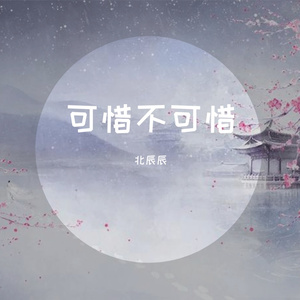 可惜不可惜（抖音热播版）