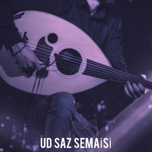 Pesendide Saz Semaisi NO -1