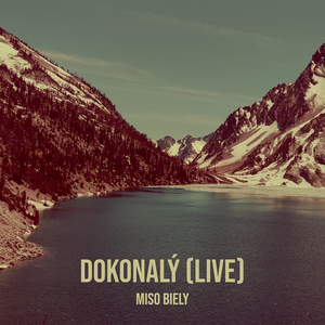 Dokonalý (Live)