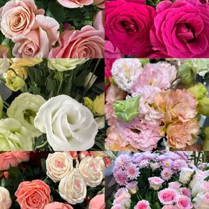 恭喜发财财财财2026