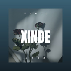 可以爱你真好 (Remix)