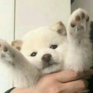 我的果汁分你一半