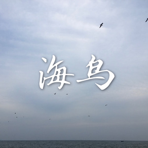 海鸟
