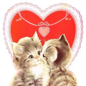 stunned (feat. smokeonk)