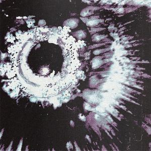 Busqueda desordenado por Spooky