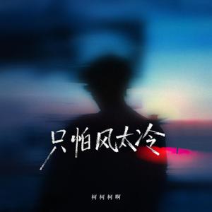 只怕风太冷