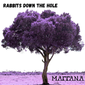 Rabbits Down the Hole