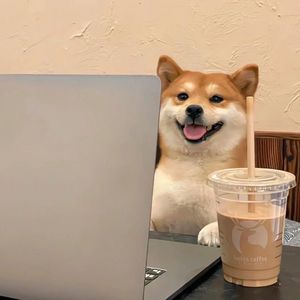 《爱意在黑洞蒸发过程中》