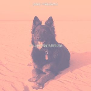 抚慰的可爱的狗回忆