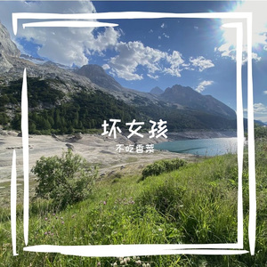 坏女孩 （cover. 徐良/小凌）