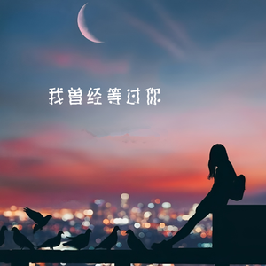 我曾经等过你