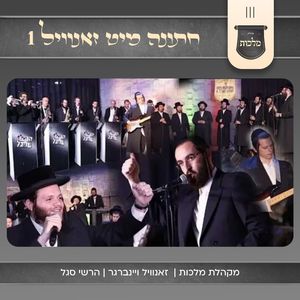 חתונה מיט זאנוויל 1