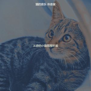优美小猫器乐