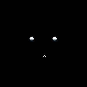 窗外下了一夜的暴雨：）