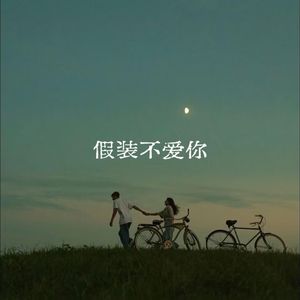 假装不爱你