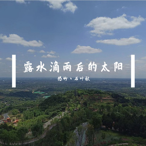 露水滴雨后的太阳