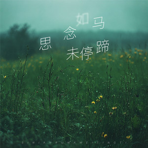 思念如马未停蹄